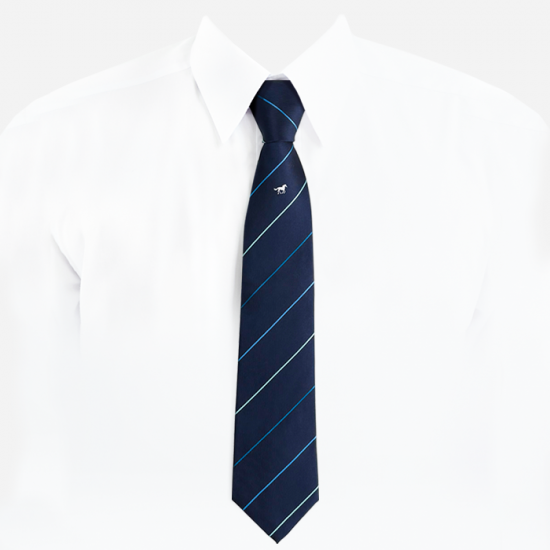 이미지 상세보기